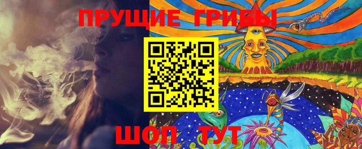 Псилоцибиновые грибы MAGIC MUSHROOMS  Вход с VPN  Вышний Волочёк  Псилоцибиновые грибы GOLDEN TEACHER 