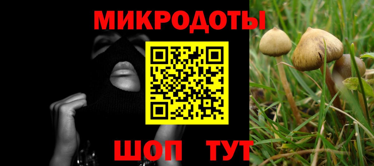 Псилоцибиновые грибы MAGIC MUSHROOMS Вышний Волочёк
